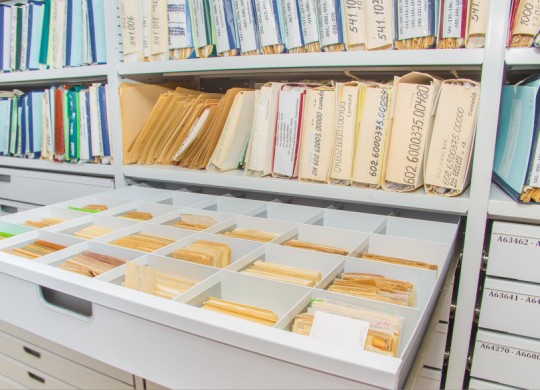 Выдвижные ящики с разделителями